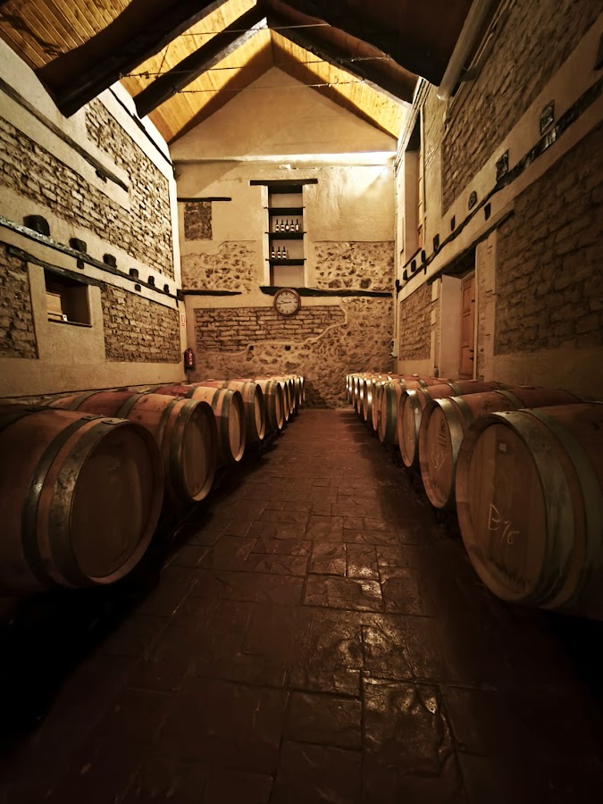 Bodega Viña Valdemazón