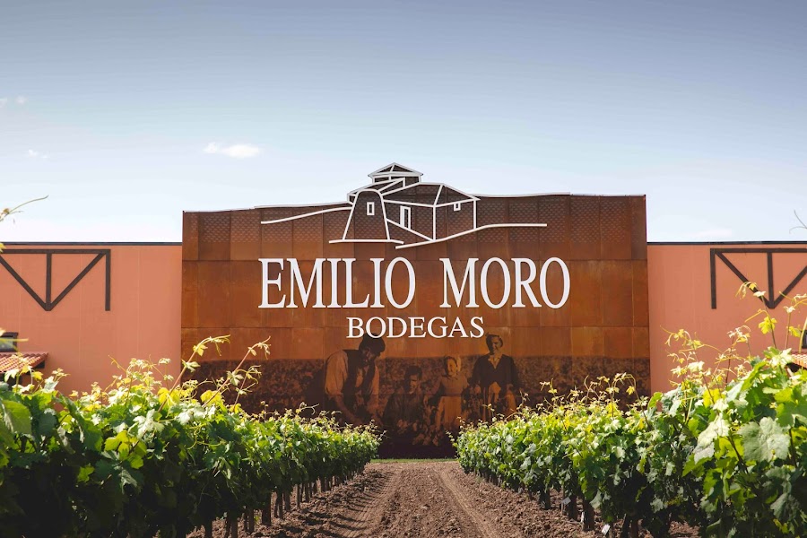 Bodegas Emilio Moro S.L. - Ribera del Duero