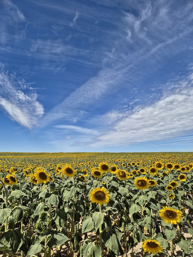 La Casona de los Comuneros