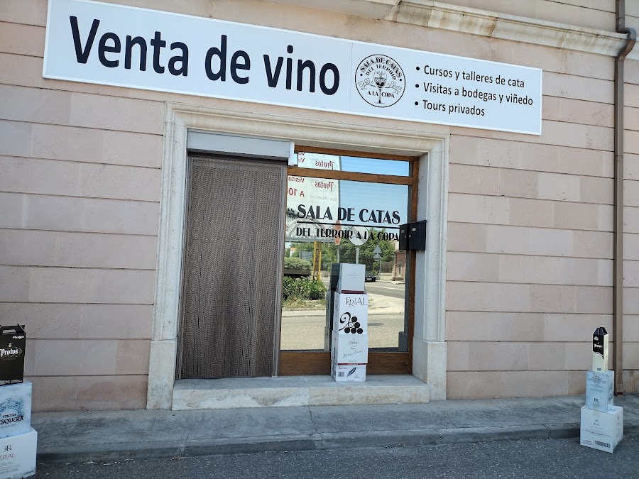 Sala de Catas Del Terroir a la Copa