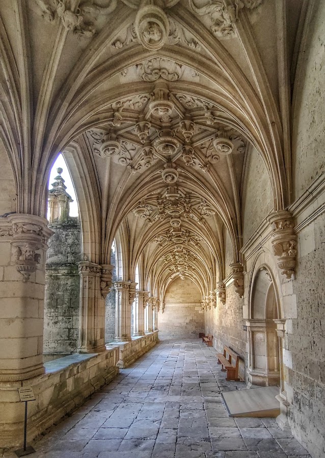 Claustro de San Zoilo