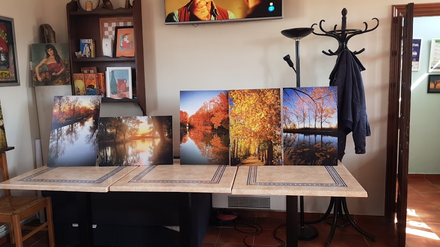 El camino Tamariz de campos