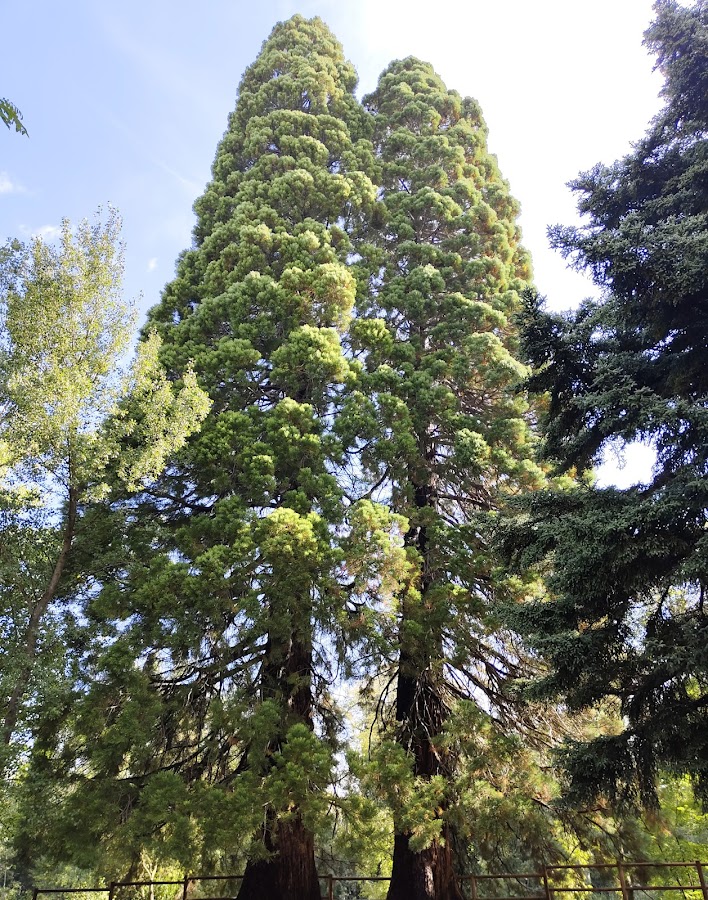 Jardín del Carretero - Parque y merendero